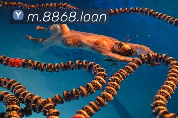 8868体育APP 封面图